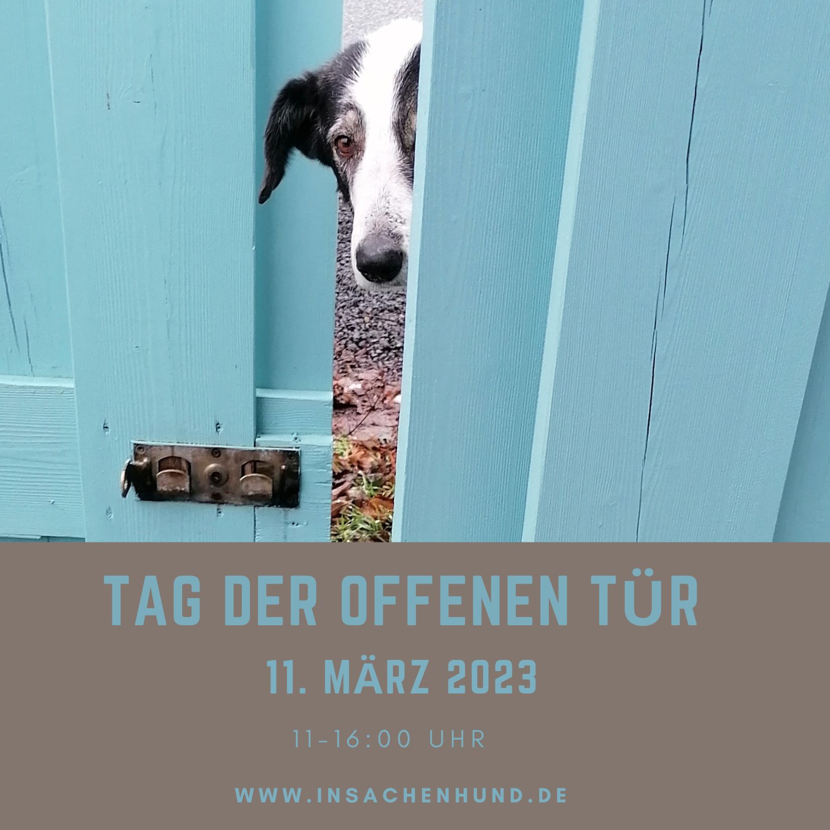 Einladung zum Tag der offenen Tür